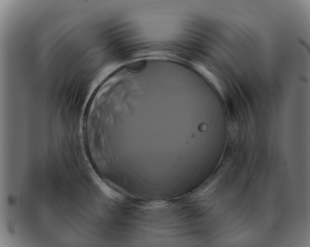 X0000091641482200709131422