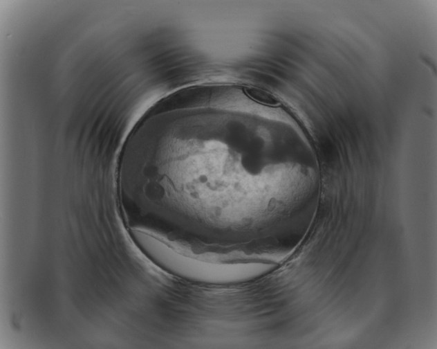 X0000091641483200709131422