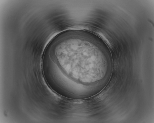 X0000091641484200709131422