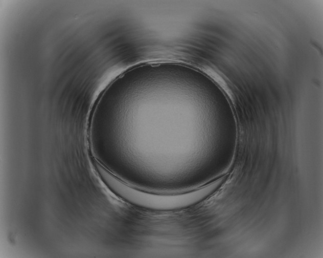 X0000091641485200709131422
