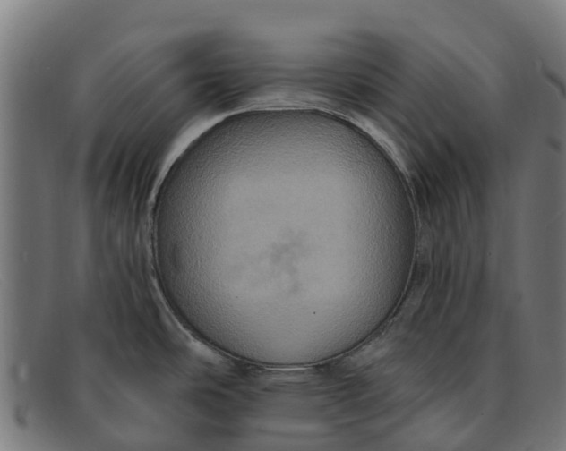 X0000091641486200709131422