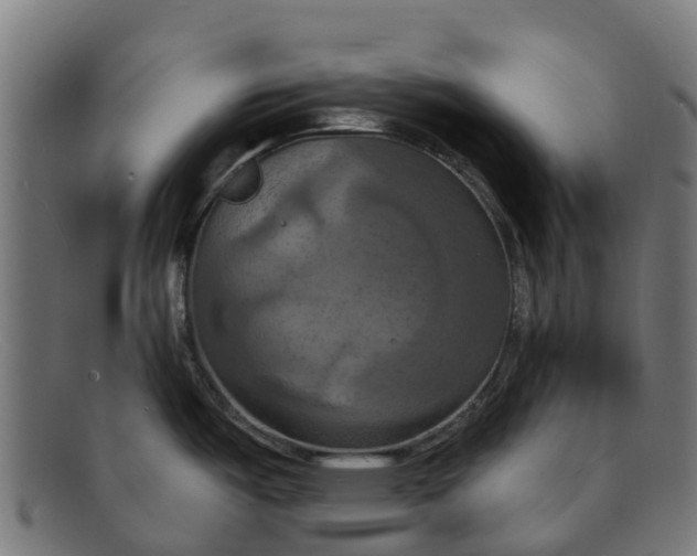 X0000091641487200709131422