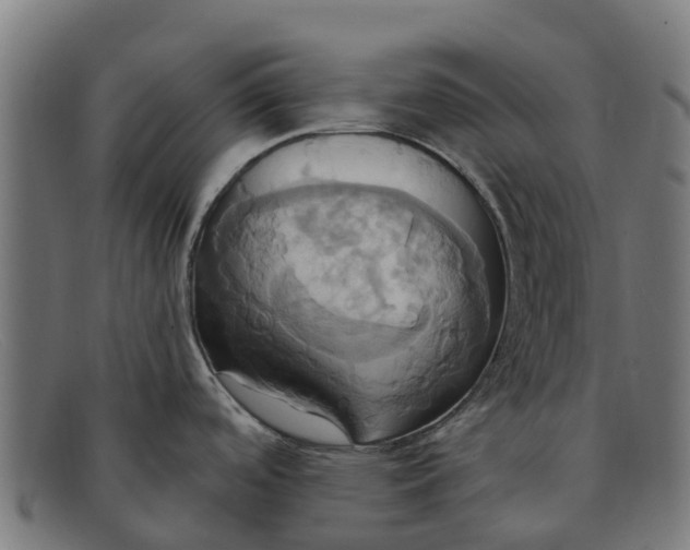 X0000091641488200709131421