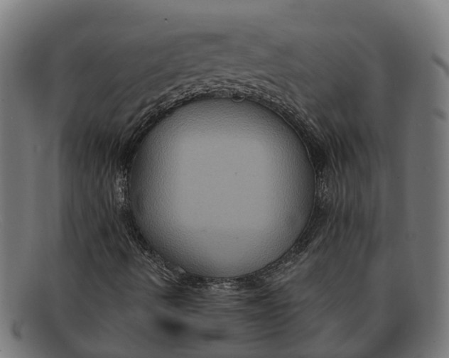 X0000091641490200709131421