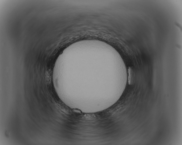 X0000091641491200709131421