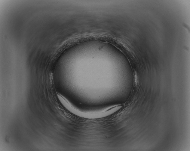 X0000091641492200709131421
