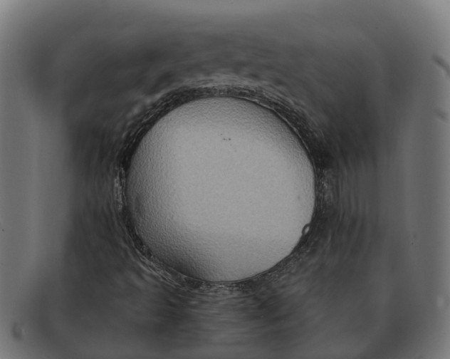 X0000091641493200709131421