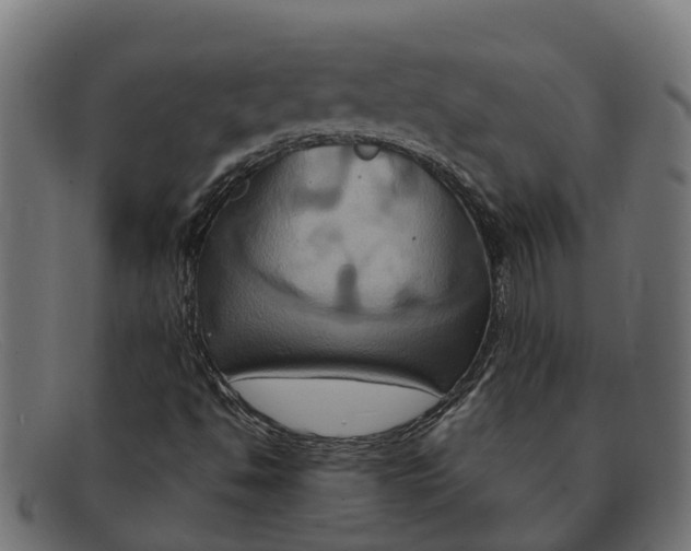 X0000091641494200709131421