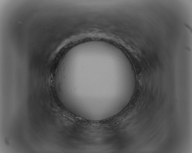 X0000091641495200709131421