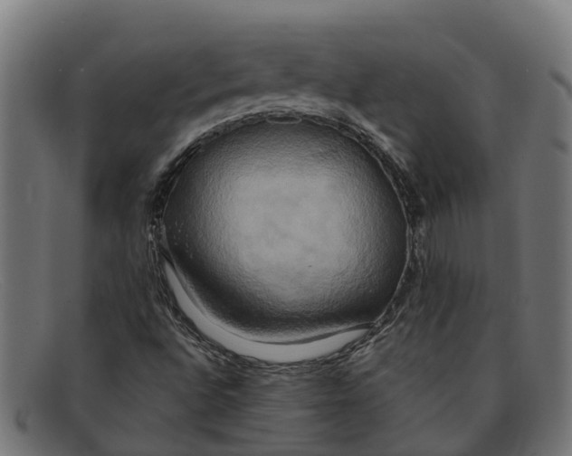 X0000091641496200709131421