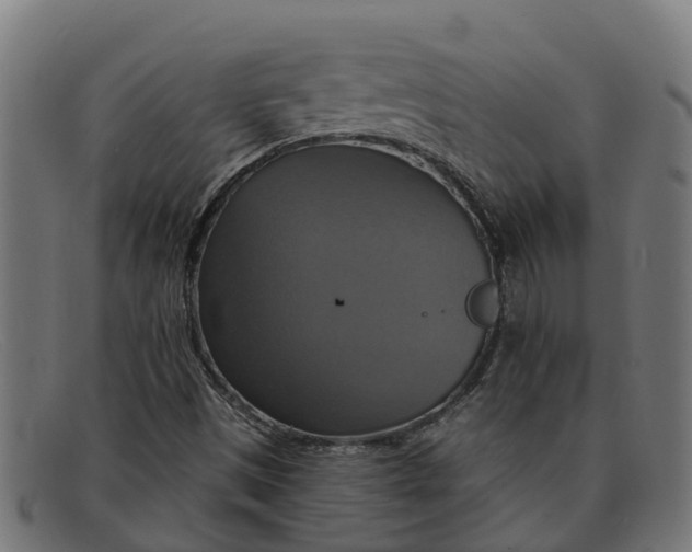 X0000091641497200709131421