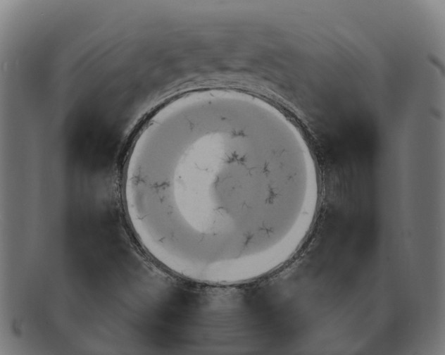 X0000091641498200709131421