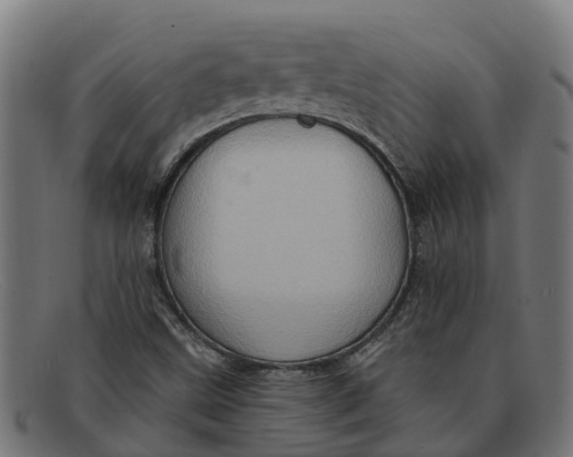 X0000091641499200709131421