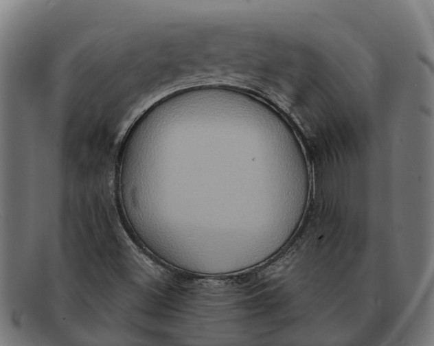 X0000091641500200709131421