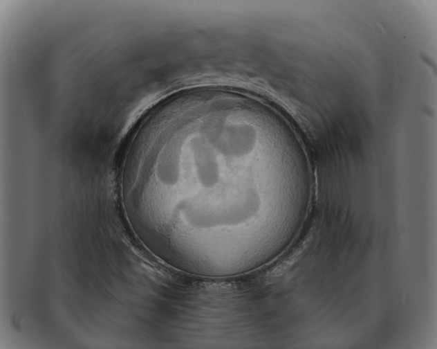 X0000091641501200709131421