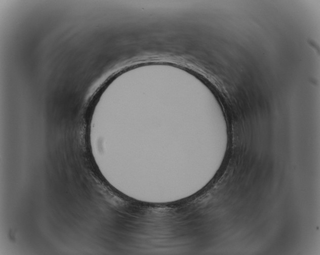 X0000091641502200709131421