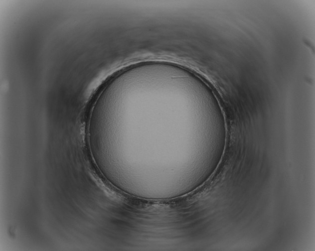 X0000091641503200709131421