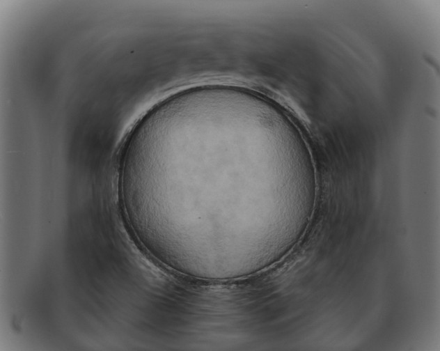 X0000091641504200709131421