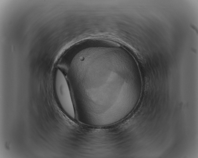 X0000091641506200709131421
