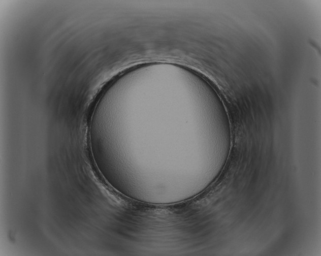 X0000091641507200709131421