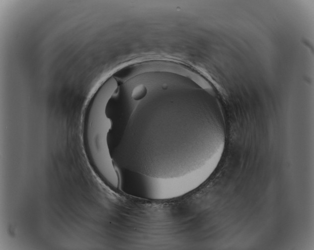 X0000091641508200709131421