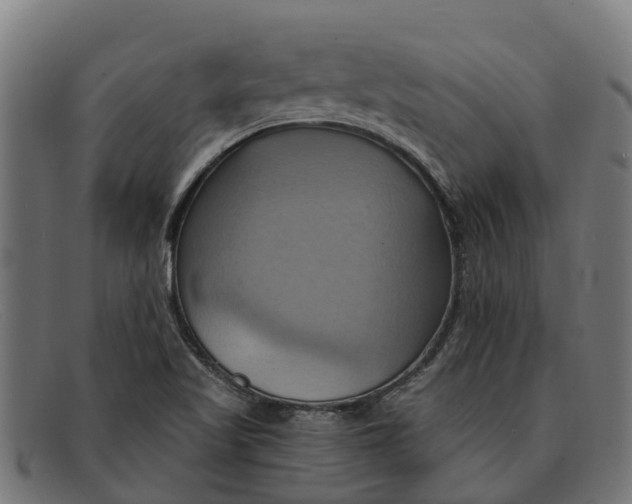 X0000091641509200709131421