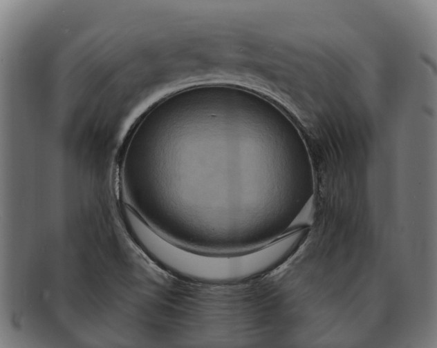 X0000091641510200709131421