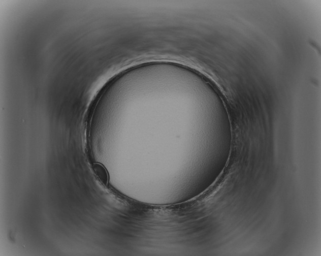 X0000091641511200709131421