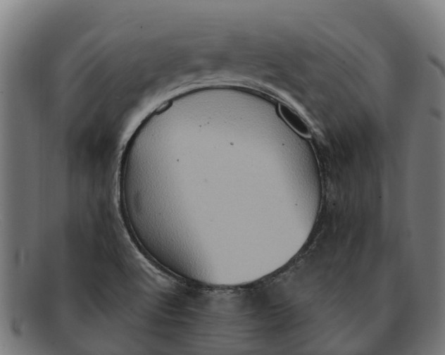 X0000091641512200709131421