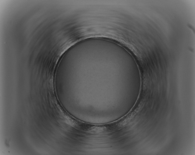 X0000091641513200709131421