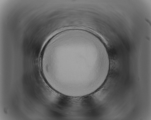 X0000091641514200709131421
