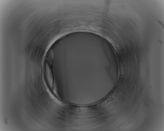 X0000091641515200709131421