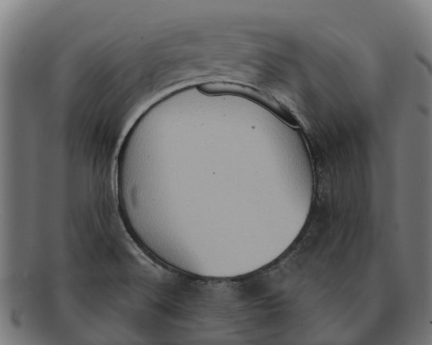 X0000091641516200709131421
