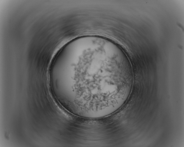 X0000091641517200709131421