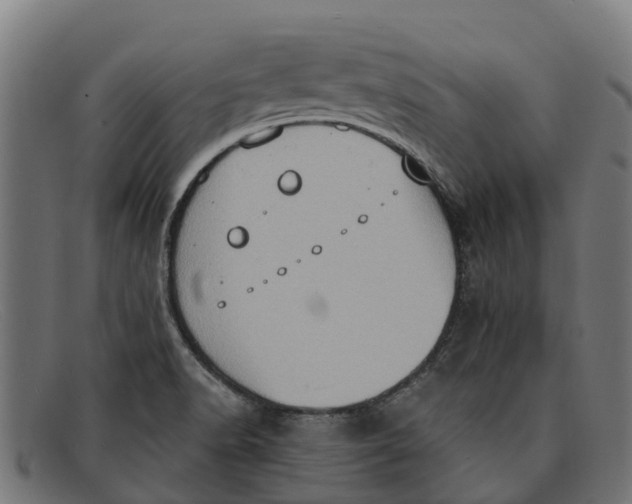 X0000091641518200709131421