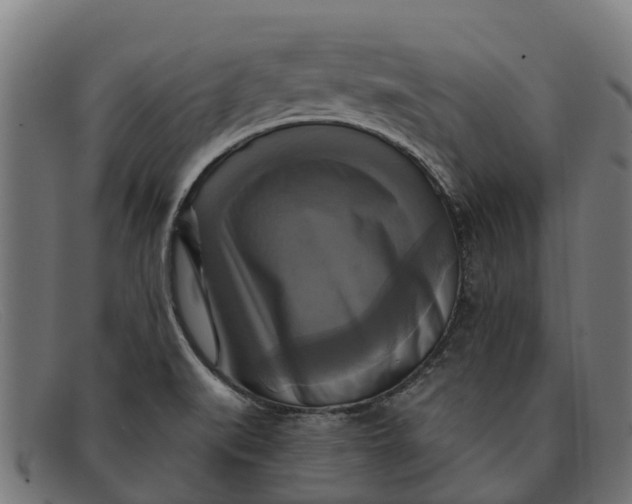 X0000091641519200709131421