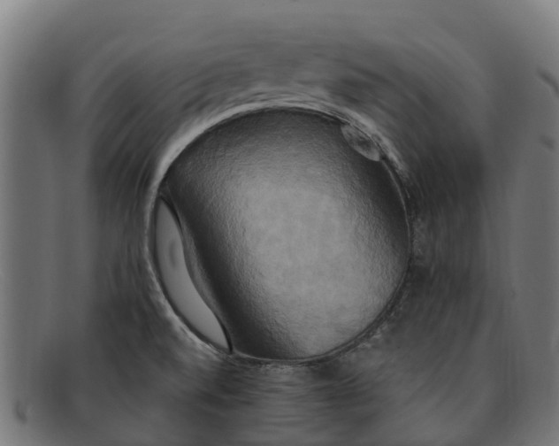 X0000091641520200709131421