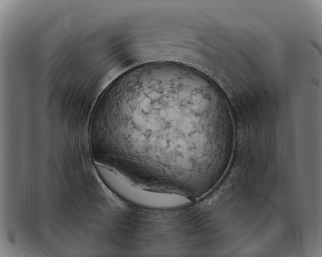 X0000091641521200709131421