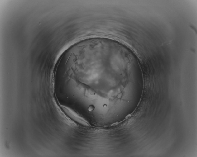 X0000091641522200709131421