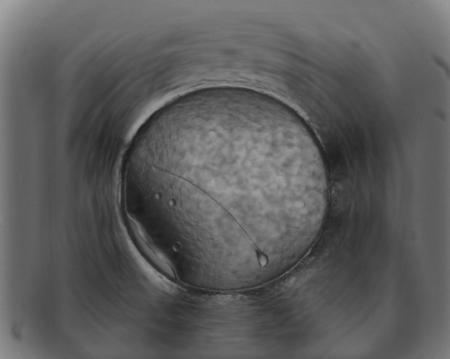 X0000091641523200709131421