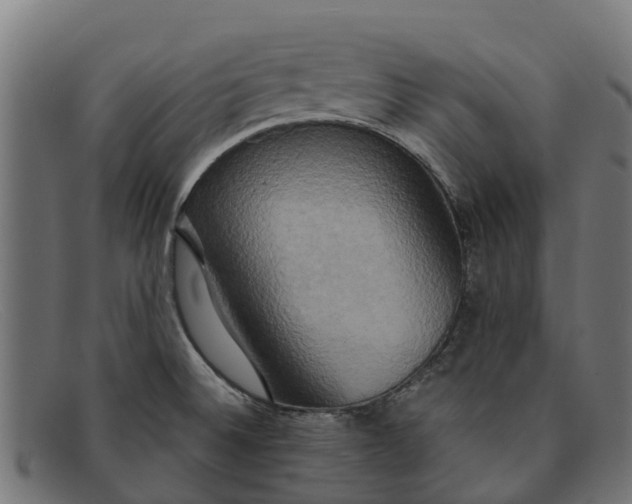 X0000091641524200709131421
