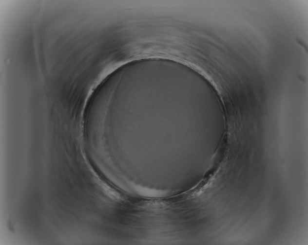 X0000091641525200709131421