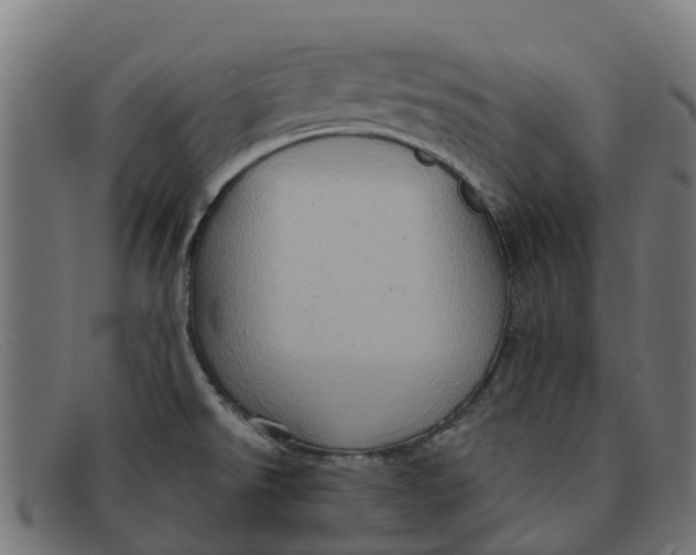 X0000091641526200709131421