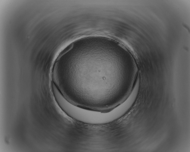 X0000091641528200709131421
