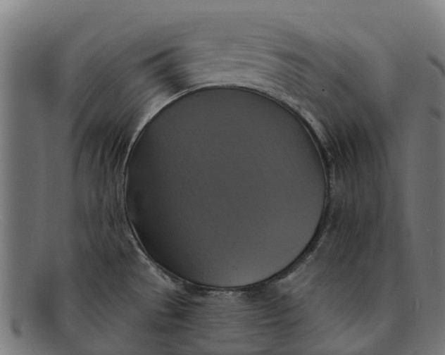 X0000091641529200709131421