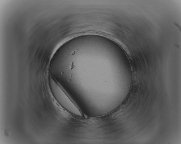 X0000091641530200709131421