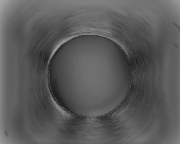 X0000091641531200709131421