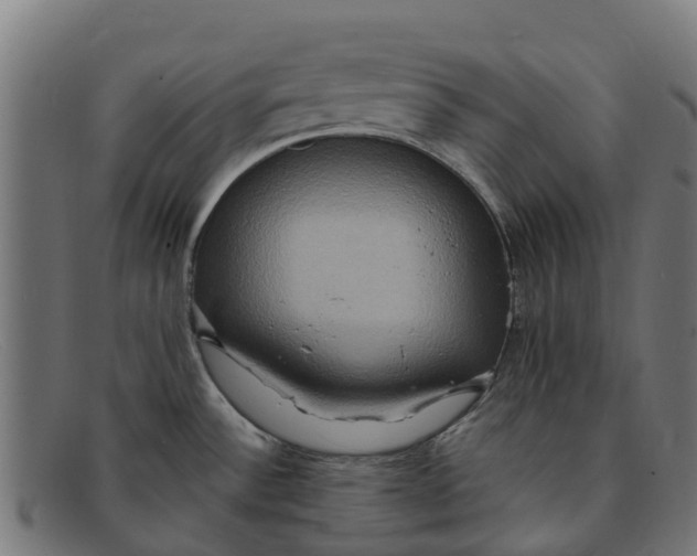 X0000091641532200709131421