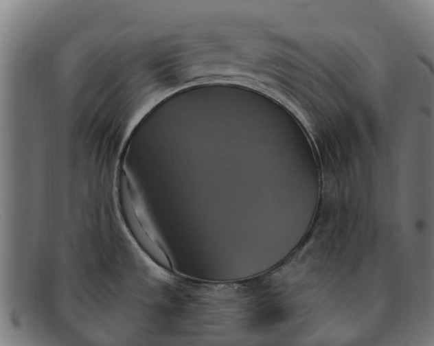 X0000091641533200709131421