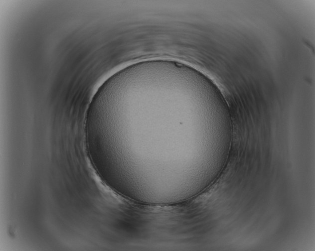 X0000091641534200709131421